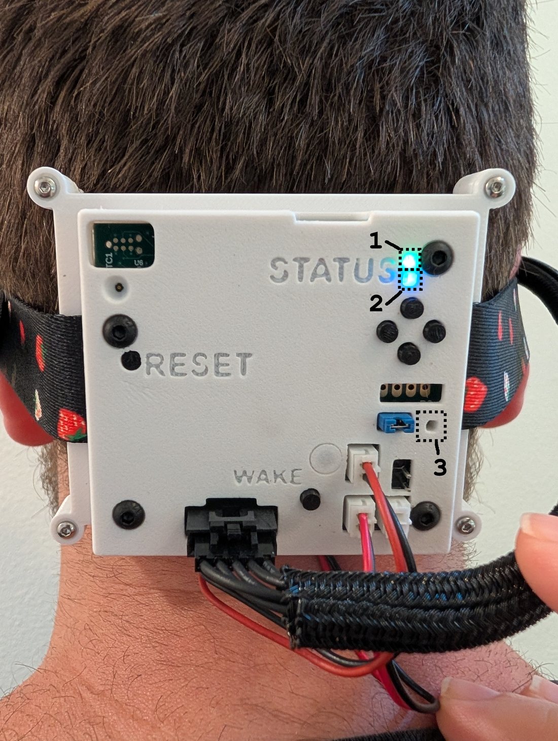 Annotated Proto0 status LEDs — 1: top (charge), 2: bottom (Bluetooth), 3: charger LED